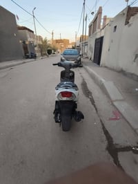 منغولي • نضيفة • شهر
