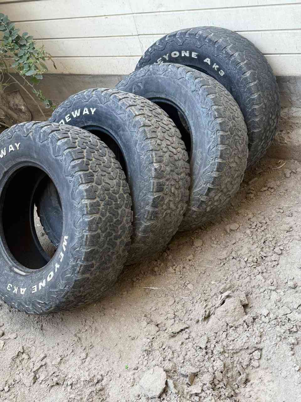 #للبيع ب ٧٥ الف فقط للتخم


**إذا كنت صاحب هذا الإعلان وتريد حذفه لأي سبب، رجاءا أرسل رسالة إلى الدعم الفني**