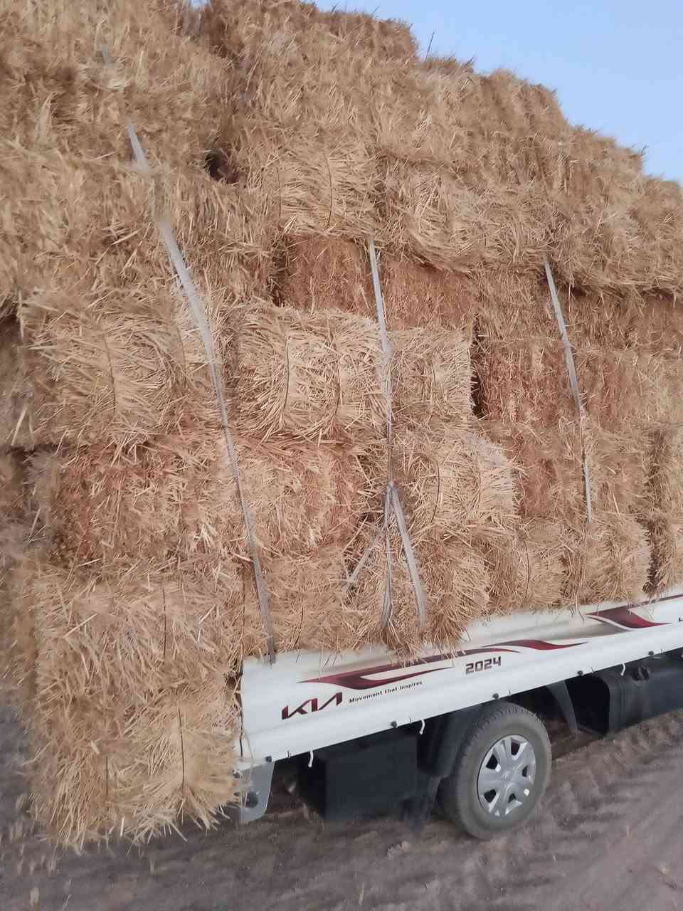 يوجدتبن كبسات درجه اولى الطول 90فمافوق ناعم كانماجريش لاصحا المواشي الزوج واصل 3500الي رايد يتصل بالرقم ***********

