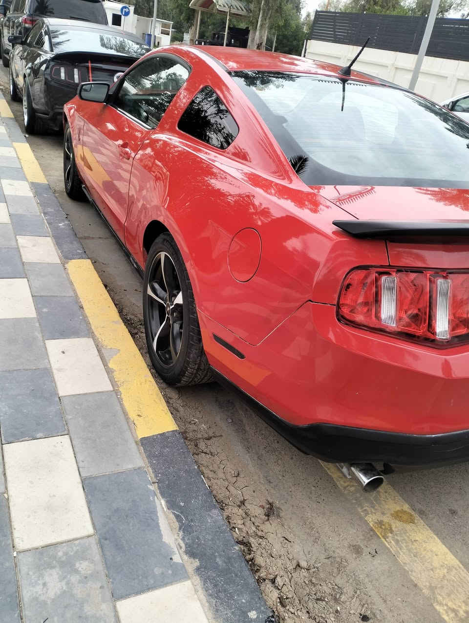 السلام عليكم
موستنك بريموم 

رقم بغداد انكليزي 

موديل 12 

مكينه 6 

الوون 🛑

كير مكينه مكفول 

تبريد تدفئه 

حادث جاملغ خلفي وشويه بالباب بيهن_ معجون؟_

صدرها 75%

السعر 77 وبيه مجال حق الجيه _

مكاني بغداد ناحية الوحده قرب بسمايه 

ابيع عقد مروري مباشر ما أضل اركض وراك

مو شراي لا تدخل تسولف رحمه لاهلك👉 

رقم الهاتف ‏‪***********‬‏ واتساب
