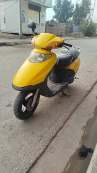 سبيسي ياباني • سلف • مكان كوت دور