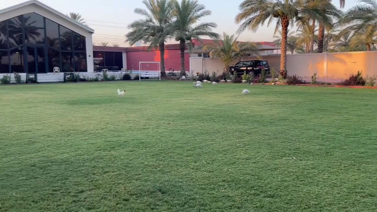 ‏السلام عليكم 
فرصه العمر لامتلاك مزرعه نموذجيه
مزرعه المساحه 📐 دونم 🏕️
الواجهه ٤٠م النزال ٦٠م
سند تحويل ملكيه 
الموقع بغداد الدوره الزنبرانيه قرب سريع الدوره اليوسفية 

السعر وباقي التفاصيل مراجعه مكتب الفهد أو الاتصالات 
*********** ابو علي
*********** ابو فهد‏ الجزء ‏1‏
