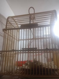 قفص • قفص طيور • قفص بلبل • ديكور منزل