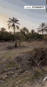 السلام عليكم ورحمه الله قطعه ارض للبيع مساحه ٦٠٠ متر واجه ٢٣ نزال ٢٦ م العنوان بغداد الراشديه الاستفسار اكثر اتصال *********** تفاصيل القطعه في الفيديو
