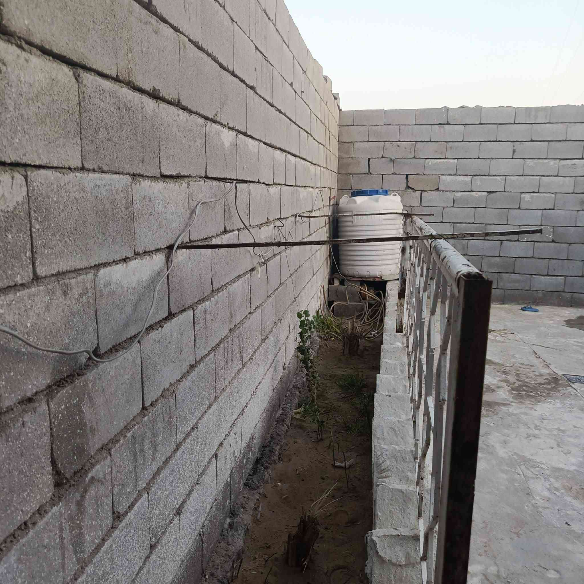 بيت زراعي للبيع في البصره الزبير مقابل النائب علي شداد الفارس مساحه ١٨٠ لاستفسار *********** مكلف بل نشر فقط👉👉👉
