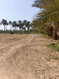 دونم • طابو زراعي • خلف نزله ربع إبراهيم