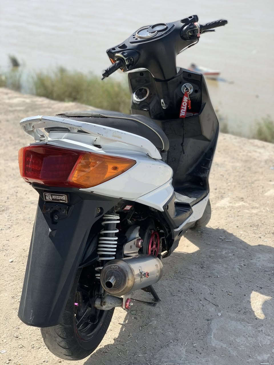 سكنس فحل نوزل خطين للبيع او مراوس حسب القناعه نوزل8زروف شلعه ومعدل طيران بوشتها ممعروفه كلجات رياضي هاون مال حاويه اصلي صدر DYكرزي اصلي فج رياضي فراندو ملقط رياضي براغي رياضي صالنصه M Powerكشن رياضي ستاند صفح رياضي جويتر جبير اشاير مشمشي كور حجره جبيره بلادي معدلها130 سلف رياضي ٦فحمات دراجه نقوصاتها بسيطه ومبينه بصور مكاني بغداد الاعضميه رقمي/***********
