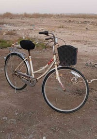 باسكل ياباني • حجم 26 • بعقوبة