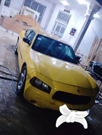 جارجر • ٢٠١٠ • بابل مصفره