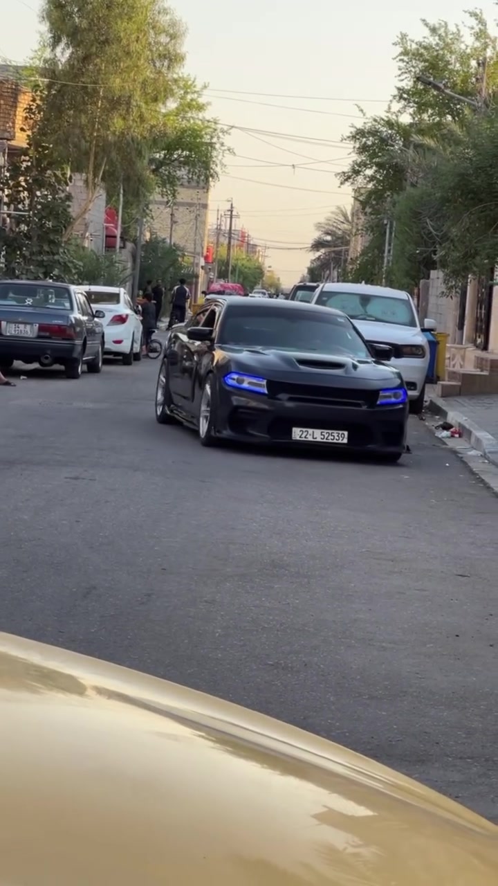 سلام عليكم
جارجر Rt5700موديل 18بدَون ضربه بدون لغد بدون شاصي بدون ايرباك بيه اماكن صبغ فقط تقريره الحداديه واكعه وداخله السياره  هي بيه ارباع صبغ أنا ابيع قطع 5 قطع حتئ مايصير مفاشل بلموضوع مكان السيارة البصرة 
(تعديل السياره بالكامل من مركز #تان)
1_عليه اكسل قفل
2_شوته KN
3_هدرز +دبات سود+بوري3انج صوت طرب🔊🙋
4_بلكات نوزلات رايسناك
5_علية برمجة البطل #مصطفئ_ايگل
6_لد متغير تحكم على تلفون
7_سقف روز رايز
8_دواخل كله تغطيس شغل مركز تان
9_دركه D
السياره مصروف عليها هواي
وبعد بيه هواي شغلات ممذكوره سياره حلوه وبالعافية على الي يأخذه 
رقم الهاتف ***********📞
السعر $ 175
