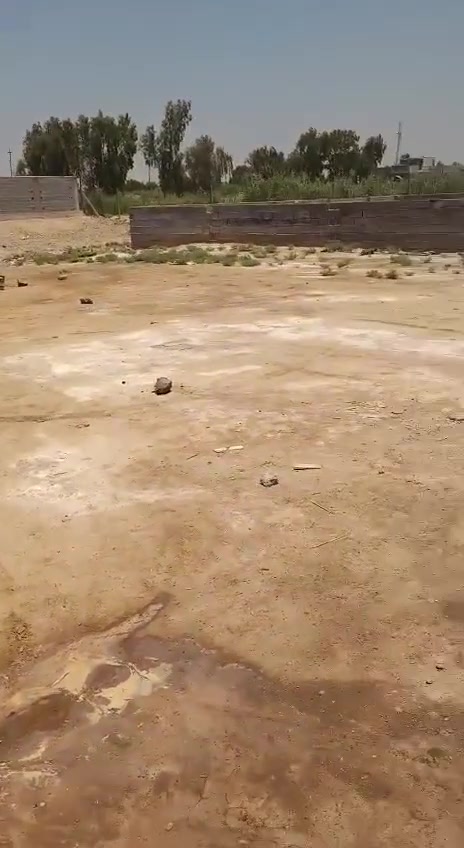 سلام عليكم على بركت الله 
🔹مساحة (300) متر
📍موقع واسط طريق كوت بغداد مقابل ستراحة المسافر 
الاستفسار 
مراجعة شركة لؤلؤة القارات السبع  
التصال 
‭***********
***********
