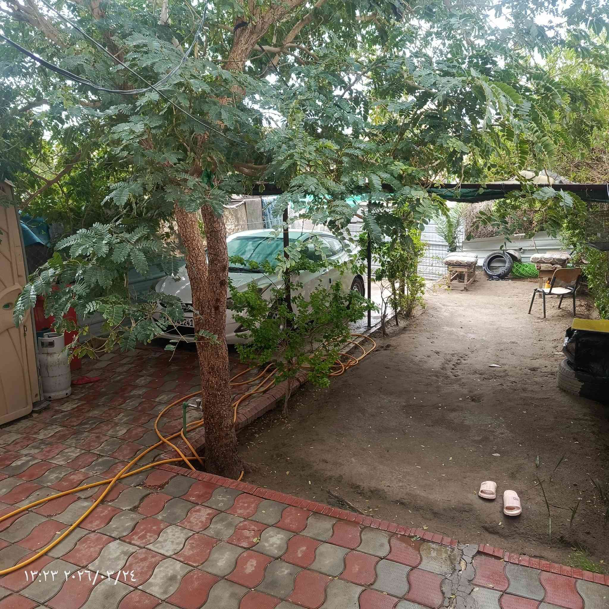 سلام عليكم بيت للبيع حي النداء المنطقه بل 50الف  قريب جمله ريحانه المصطفي الركن شارع60.اوتنزل 3ساحه عل يسره البيت  التفاصيل البيت بسمي طابقين عل ساحه الوجهه 6انص مربع غرفتين وصاله الغرف بيهن اسويته الفوك اوجوه استقبال اوصاله اومطبغ حار اوبارد بناء.درجه اوله  المساحه٦٥متر .........السعر .مع المجال  الاتصال عل واتساب او رقم ***********.السعر 70مع المجال
