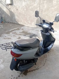 فراشة • نضيفه • النجف عمود ١٣٠