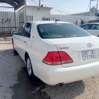 شاهينه • ارقام وسنوية • شطره