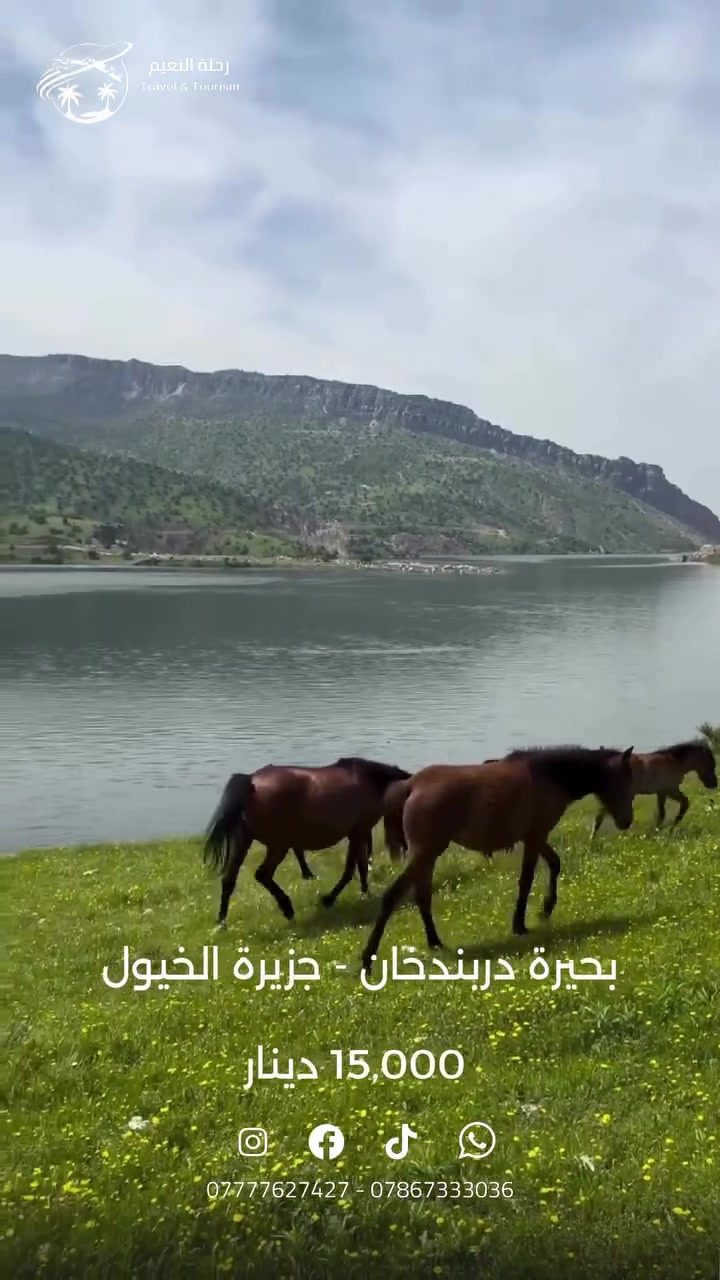 قطعة من الخيال في السليمانية! ✨🇮🇶
رحلة من قلب بحيرة دربندخان وصولاً إلى جزيرة الخيول🐎الطبيعة هنا تتنفس، والهدوء يأخذك لعالم ثاني. مستعدين للمغامرة القادمة؟
___________
🔹انطلاق الرحلة يوم الجمعة المصادف  2026 - 05 - 08
وقت الانطلاق الساعة 4 فجراً
🔹السعر :- 15,000 للفرد
🔺 السعر يشمل النقل فقط 🔺
____________
سارع بالحجز المقاعد محدودة‼️

للـحجز الاتصال او المـراسلة على :
📞*********** 
📞***********
__
📍 بغداد - الوزيرية - مجاور مستشفى ورد الاهلي
#شركة_رحلة_النعيم_للسفر_والسياحة⁩⁩

#دربندخان #جزيرة_الخيول #العراق #كردستان #السليمانية
