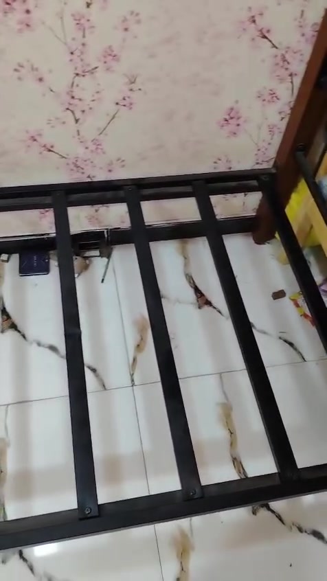 ماكو احد يشتريهن اريد أبيعهن 2جرابي حديد نظيفات والله


**إذا كنت صاحب هذا الإعلان وتريد حذفه لأي سبب، رجاءا أرسل رسالة إلى الدعم الفني**
