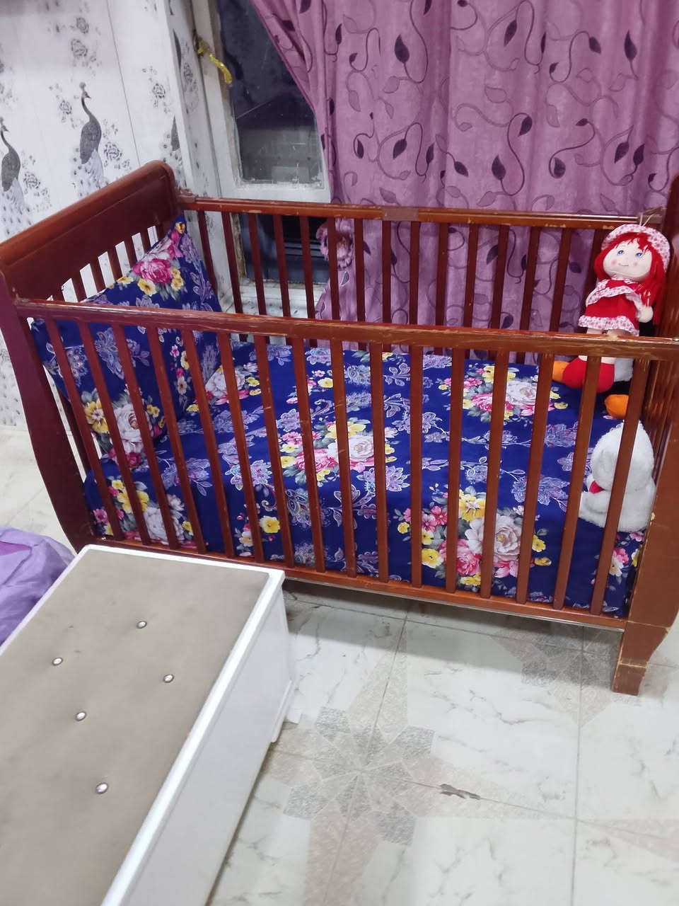 جربايه خشب 30 سعره


**إذا كنت صاحب هذا الإعلان وتريد حذفه لأي سبب، رجاءا أرسل رسالة إلى الدعم الفني**