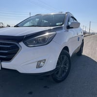 توسان ٢٠١٥ • باسمي بغداد • بدون صبغ