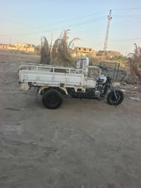 ستوته • دايون • فحل