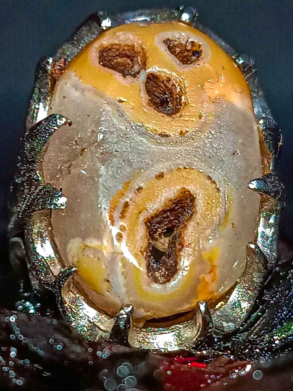 🧟‍♂️صباح الرعب والانتيكات 🧟‍♂️
نستعرض وأياكم 
خاتم متوج بحجر داودي لون نادر  🧞‍♀️
       
حجر ملاكط  قديم مصور وجه رعب  بس للجنايه  🌬

 للعيون المتابعين 🪽

بس البطل الي يأخذ هجي قطعه ما تتكرر 🕒

        للحجز يرجئ الاعتماد رصيد ⛹️‍♂️
           
     
فوائده الروحانيه 👩‍❤️‍👨
1عقد لسان 🤐
2محبه خاصه وعامه❤️‍🔥
3تسهيل امور 🙏

      لــــســنــــا الـــوحــــيديـــن لكـــــنــنا
                       آلَآفــــــضــــــــلَ


**إذا كنت صاحب هذا الإعلان وتريد حذفه لأي سبب، رجاءا أرسل رسالة إلى الدعم الفني**