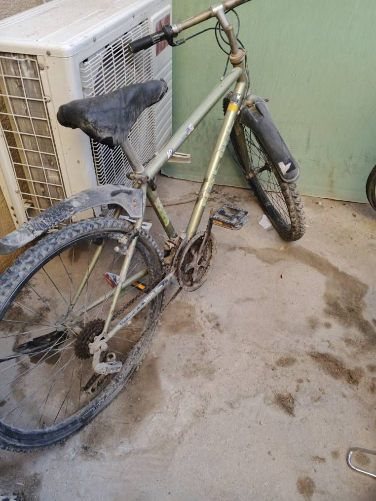 باسكل جبلي للبيع زيتوني نظيف يرادله ترتيبات بسيطه السعر 35 الف وبي مجال للشراي مكاني حي الفارس ***********
