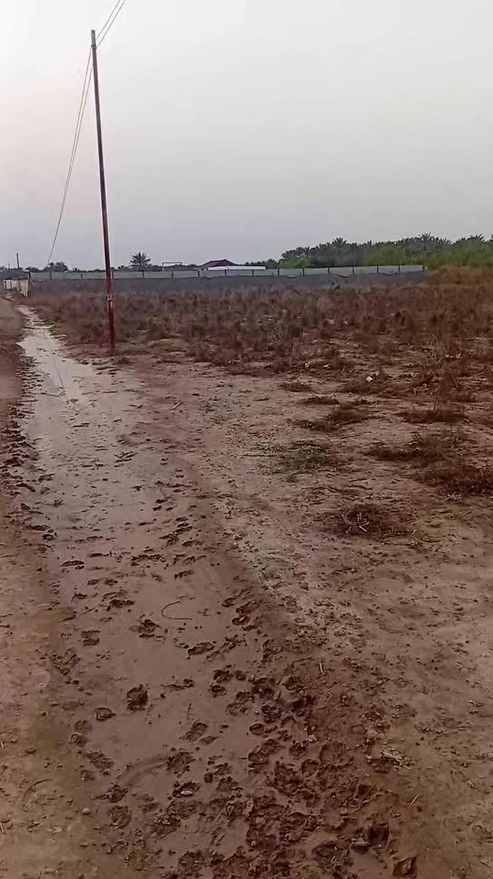 دونم طابو زراعي. الخدمات ماء كهرباء. رقم تلفون ***********
