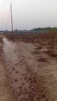 دونم طابو زراعي. الخدمات ماء كهرباء. رقم تلفون 07811901649