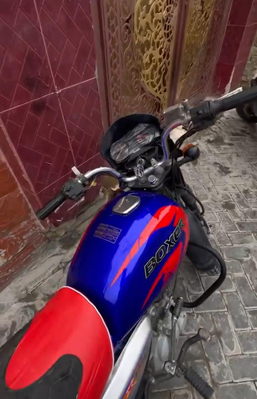 دراجة بوكسر 2021 للبيع السعر خاص


**إذا كنت صاحب هذا الإعلان وتريد حذفه لأي سبب، رجاءا أرسل رسالة إلى الدعم الفني**