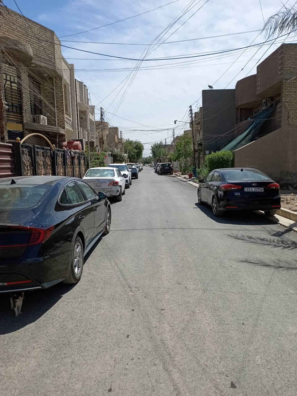 دار للبيع سكنية بموقع راقي ومخدوم في (شهداء السيدية).
📌 تفاصيل:
▪️ المساحة: 100 متر مربع، واجهة 5*20
▪️ نوع السند: ملك طابو صرف
▪️ غرفة سويت ومنورين وصالة جبيرة وحديقة وكراج مسيجة وبها باب رئيسي وأرضيتها مبلطة ومجهزة (مثل ما موضح بالصور). 
​📞 للاستفسار ومعاينة المكان، تواصلوا وياي على الخاص، أو اتصلوا على الرقم:*********** 
​#عقارات_بغداد #السيدية #شهداء_السيدية #طابو_صرف #عقارات_للبيع #اراضي_بغداد
