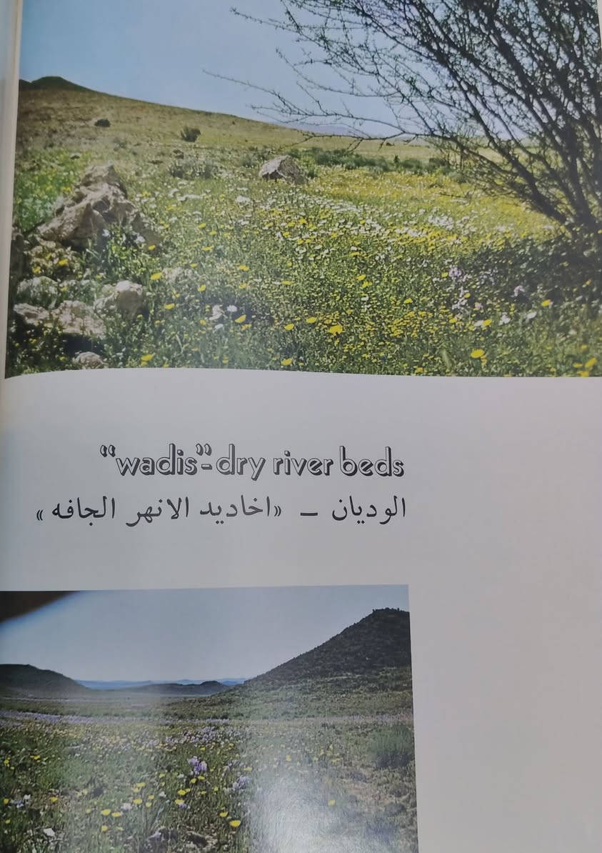 الازهار البرية للمنطقة الوسطى في المملكة العربية السعودية 
تأليف وتصوير بيتى أ ليبيكومب فينسيت 
طبع ميلانو إيطاليا عام ١٩٧٧
قطع اطلسي ١١٦ صفحة 
السعر ٢٥ آلاف


**إذا كنت صاحب هذا الإعلان وتريد حذفه لأي سبب، رجاءا أرسل رسالة إلى الدعم الفني**