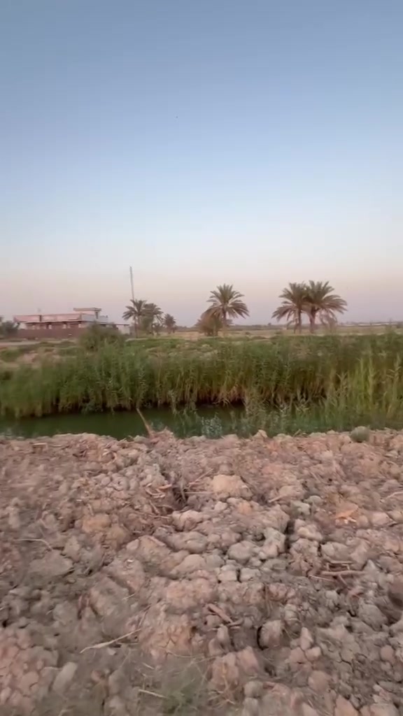 ارض طابو صرف  خمس دوانم المكان قرب محطة غاز القطنه  شارع الرابط  طويريج  مرقد بنات الحسن عليهم السلام.... سعر الدونم خاص الاتصال مباشر ***********
