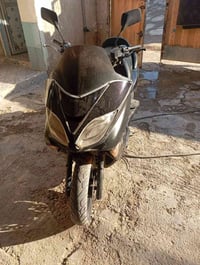 فورزة • ٢٠٠٨ • كنعان