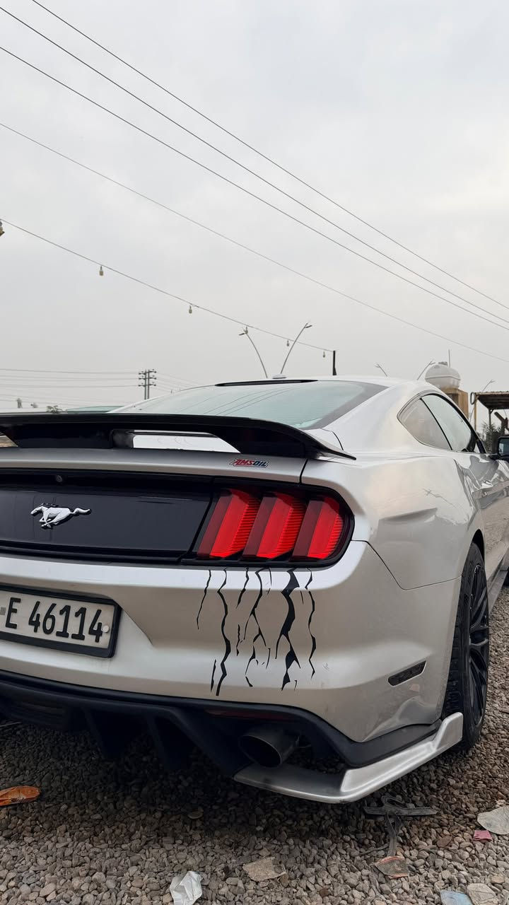 موستنك للبيع 2016 ايكو بوست 4 سلندر ماشيه 100 
السياره داخله للعراق كلين 
وصار عندي قدر كما موضح امامكم السياره مكفوله كير محرك شاصي حادثها بديت النيد وبدايت الجاملغ ابيع ع حالتهن 
السياره نظيفه وجاهزه من كلشي 
السعر / 130 وبيها مجال بسيط 
العنوان /الانبار /الكرمه 

***********
