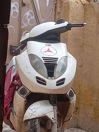 شغاله • للبيع