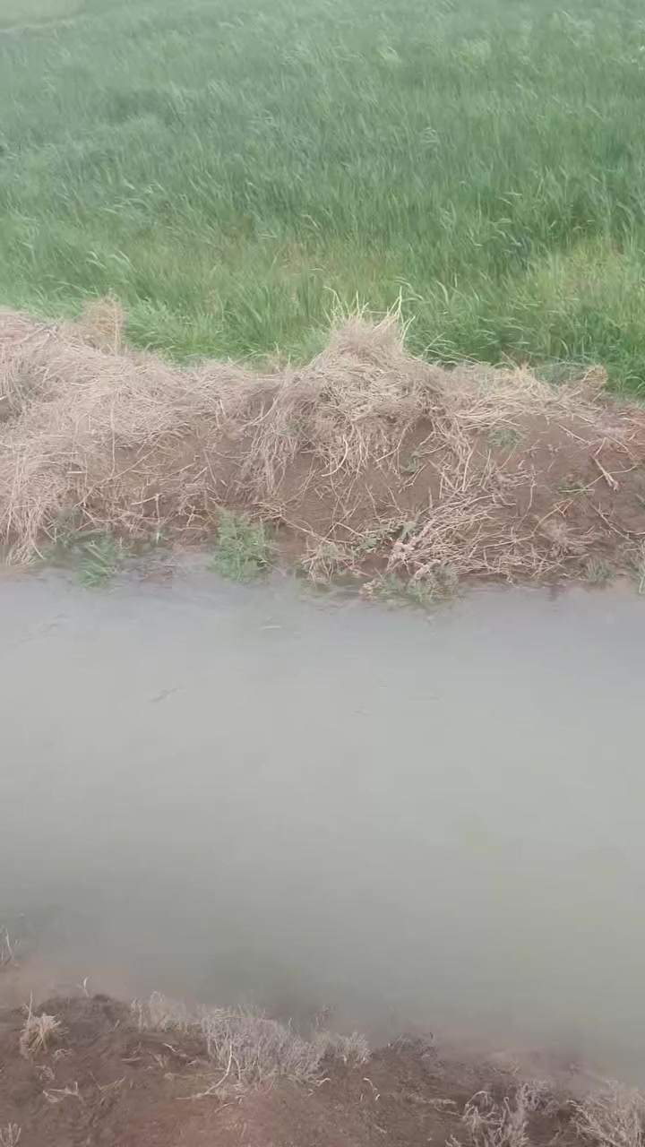 للبيع ٤٥دونم قرب هارون قريب الشديدة ***********
