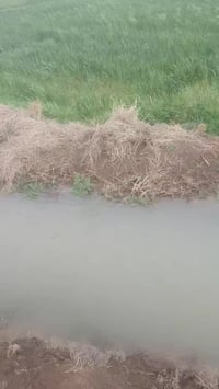 قرب هارون • قريب الشديدة • ٤٥دونم