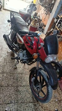 بوكسر • جبلي • ٢٠٢٠