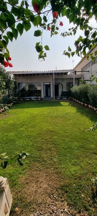 ٤٤٠م • طابو زراعي • وجهين