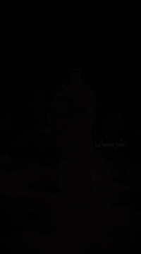 ***********  كير كيا بسته
