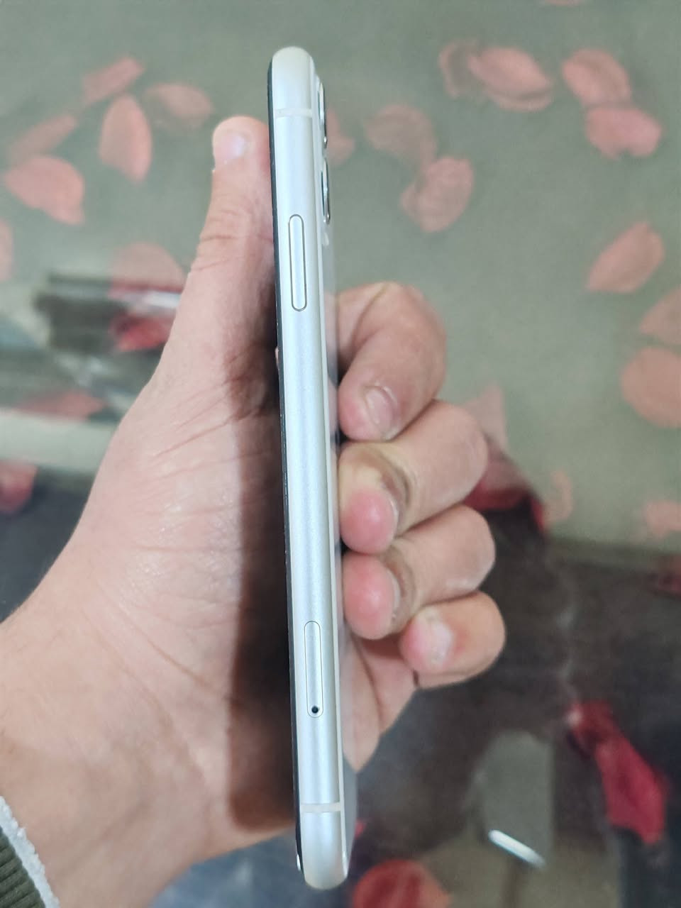 سلام عليكم
ايفون 11 للبيع او مراوس حسب قناعه
بطاريه 83 ذاكره 128 مامفتوح جلخ مابي
الموصل مكاني الأيسر سعر 275 بي مجال شي بصيط
رقم تلفون ***********
