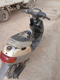 بطة • كهربايات • سلف