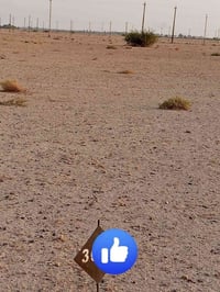 قطعة ارض • ارض سكنية • الفلوجة • الصقلاوية • طابو ملك صرف • اجازة بناء...