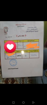 ٢٠٠م • سند ٢٥ • قرب بوابة بغداد