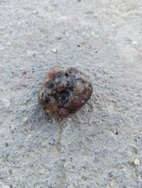 بصرة ابو الخصيب • توصيل ابو الخصيب • سولف سعرك