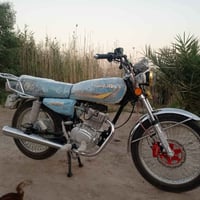 سونك • زيرو • اوراق