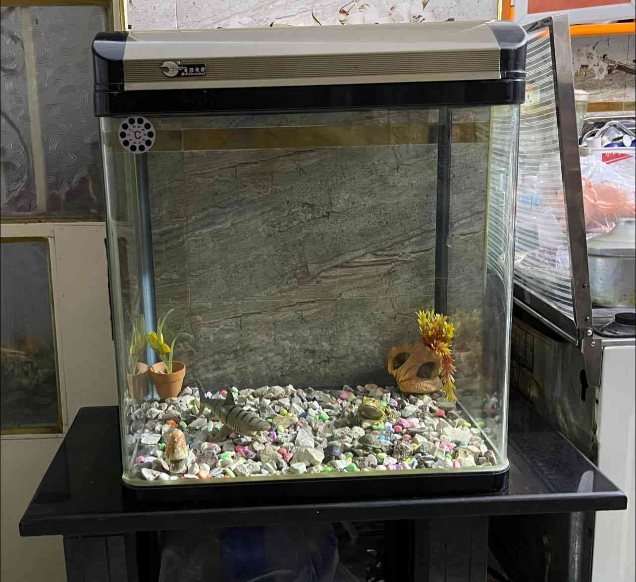 السلام عليكم موجود حوض اسماك كبير  للبيع كولش حلو وسعر مناسب مكلفه بلنشر


**إذا كنت صاحب هذا الإعلان وتريد حذفه لأي سبب، رجاءا أرسل رسالة إلى الدعم الفني**