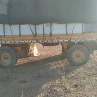 عربانه البيع 07814662001