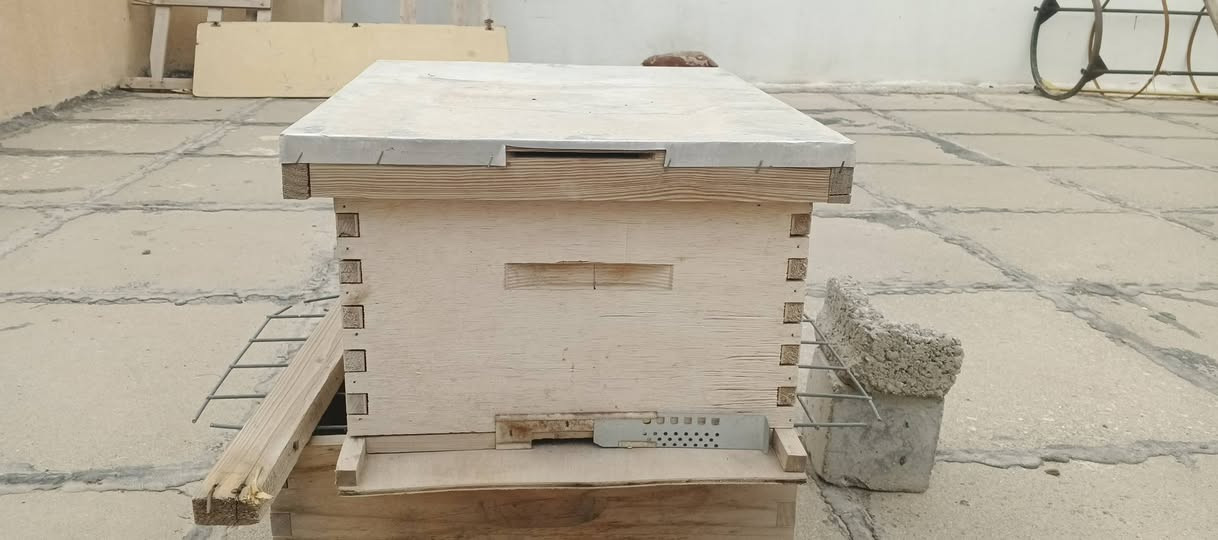 صندوق نحل للبيع مابيه عيب خارجي او داخلي كامل معه 7 اطارات السعر 25 الاتصال ***********
