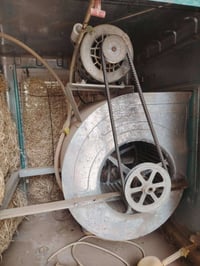 مبرده • ٢ ونص • شغاله