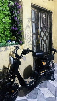 دراجة شحن • مقاس 16 • البصرة القبله